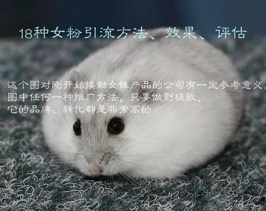 18种女粉引流方法、效果、评估
